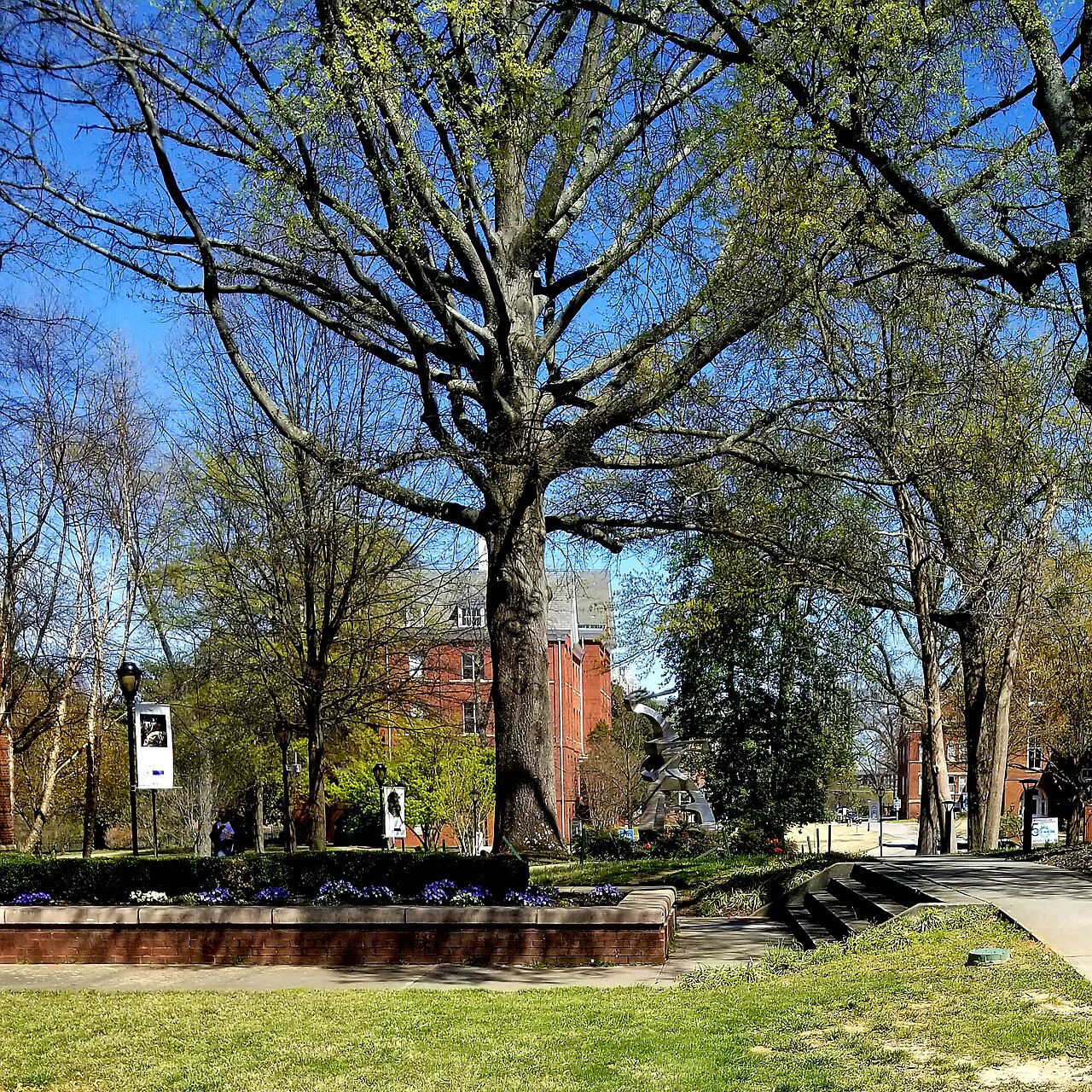 Trees, lawns, brick buildings and outdoor art on the Spelman College campus in Atlanta.