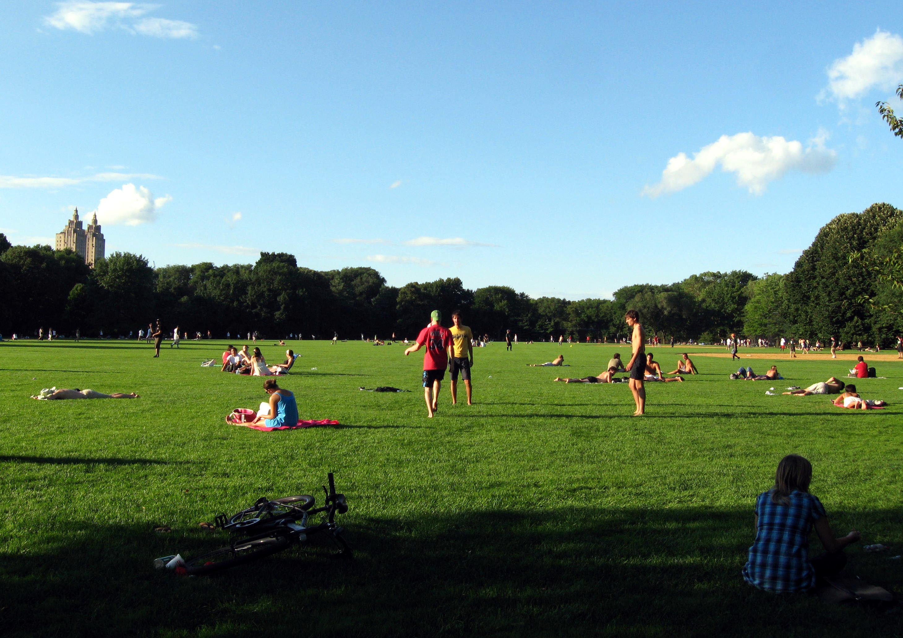 Visitors relaxing on Central Park’s Great Lawn beneath a blue sky in 2008.